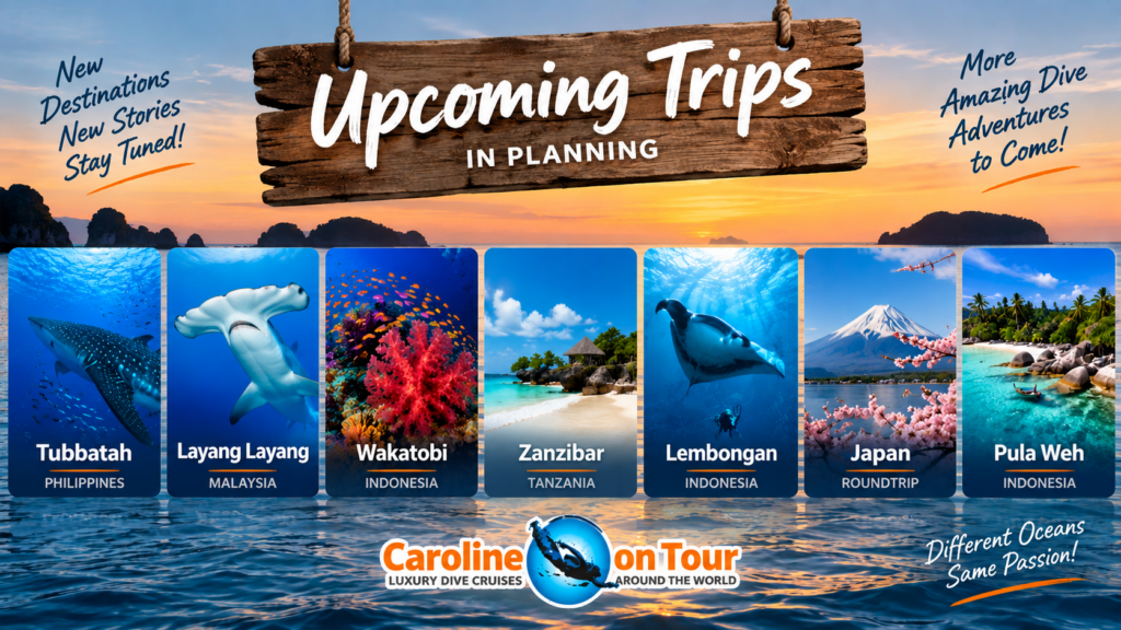 in planing trips